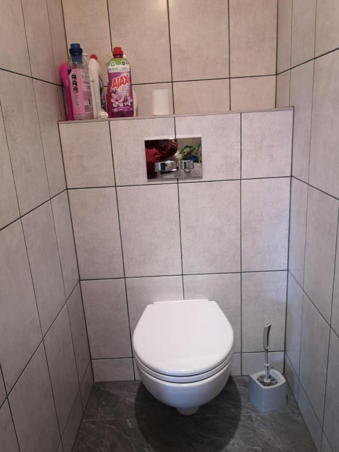 Pokoj Przy Jeziorze Apartment Wizajny Екстериор снимка
