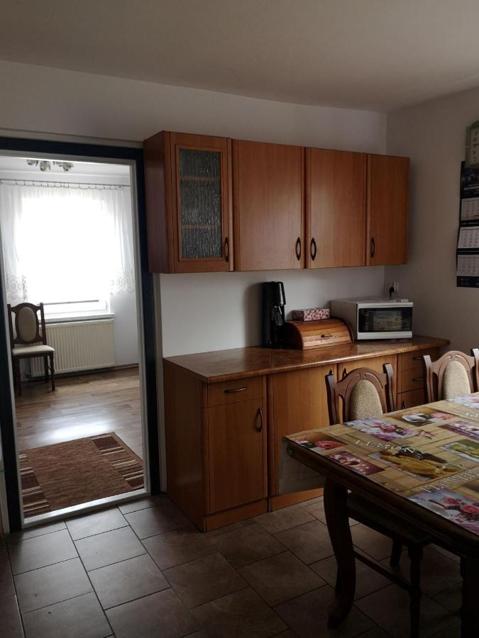 Pokoj Przy Jeziorze Apartment Wizajny Екстериор снимка